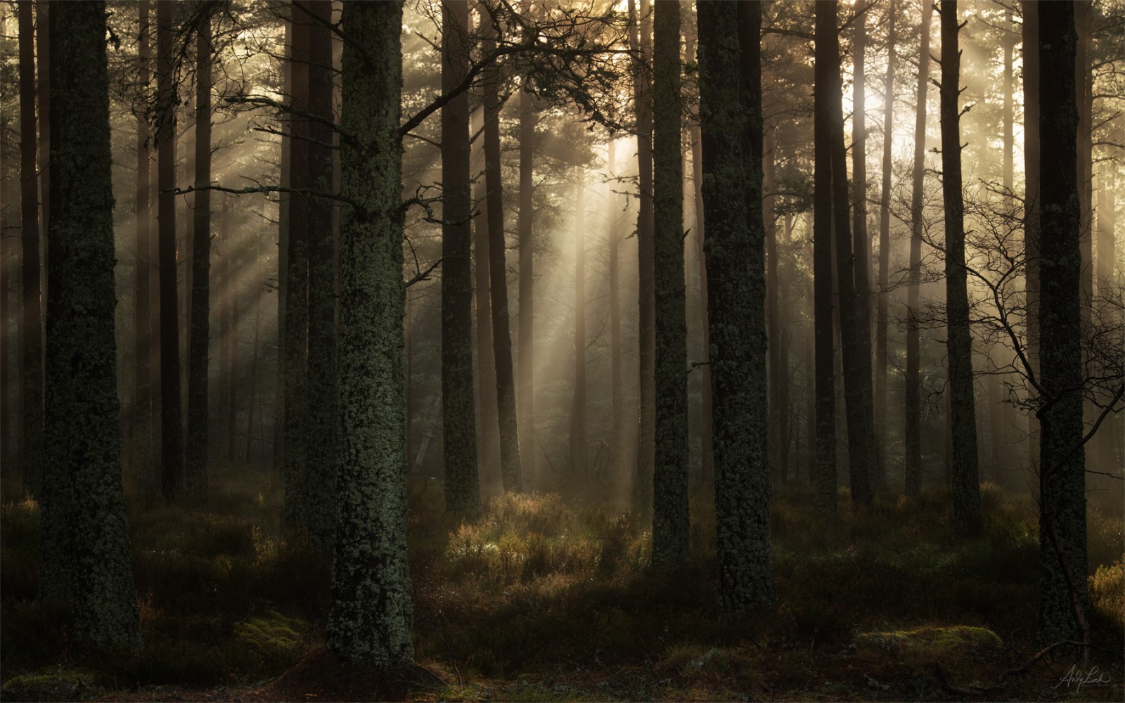 Light Finds Its Way - Andy Lock Photography