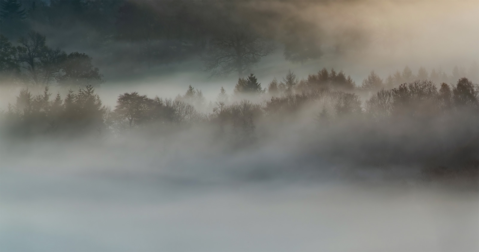 Mist Opportunities - Andy Lock Photography