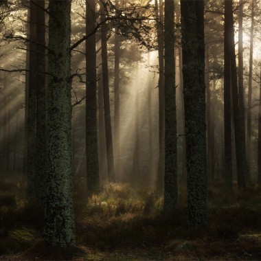 Light Finds Its Way - Andy Lock Photography