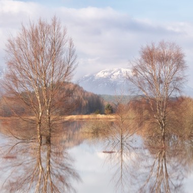 Winter reflections on a loch in the Scottish Highlands by Andy Lock