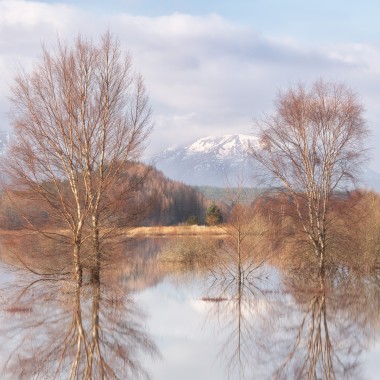 Silver Silence - Andy Lock Photograhy